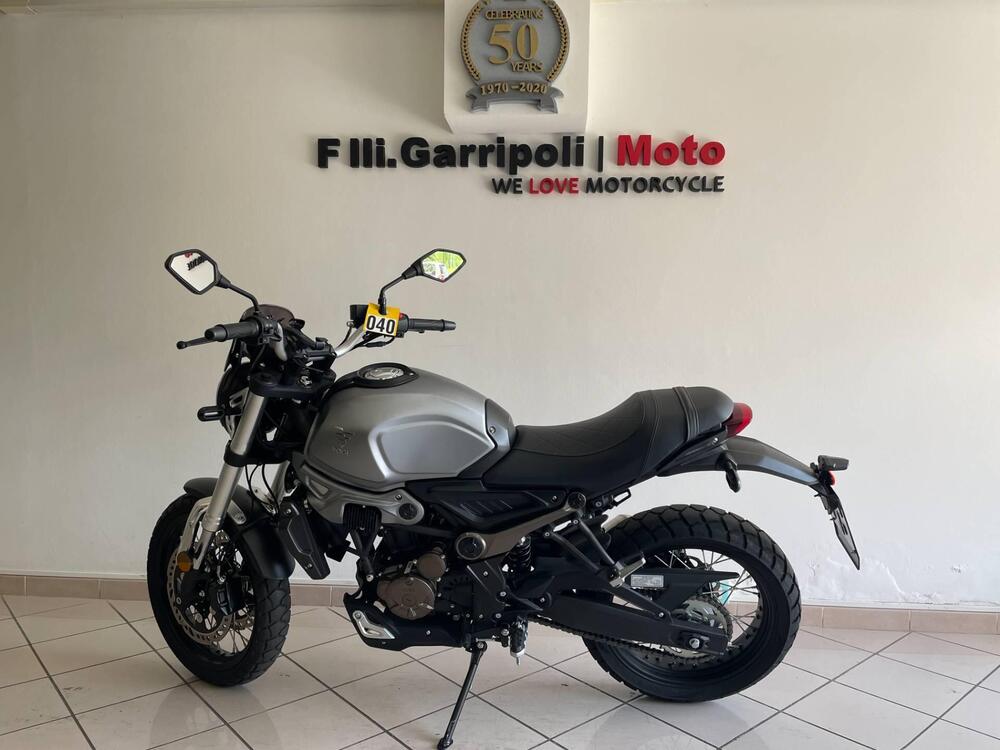 Voge Trofeo 300ACX Scrambler (2021 - 24)