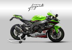 Kawasaki Ninja 1000 ZX-10R (2021 - 24) usata