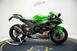 Kawasaki Ninja 1000 ZX-10R (2021 - 25) (6)