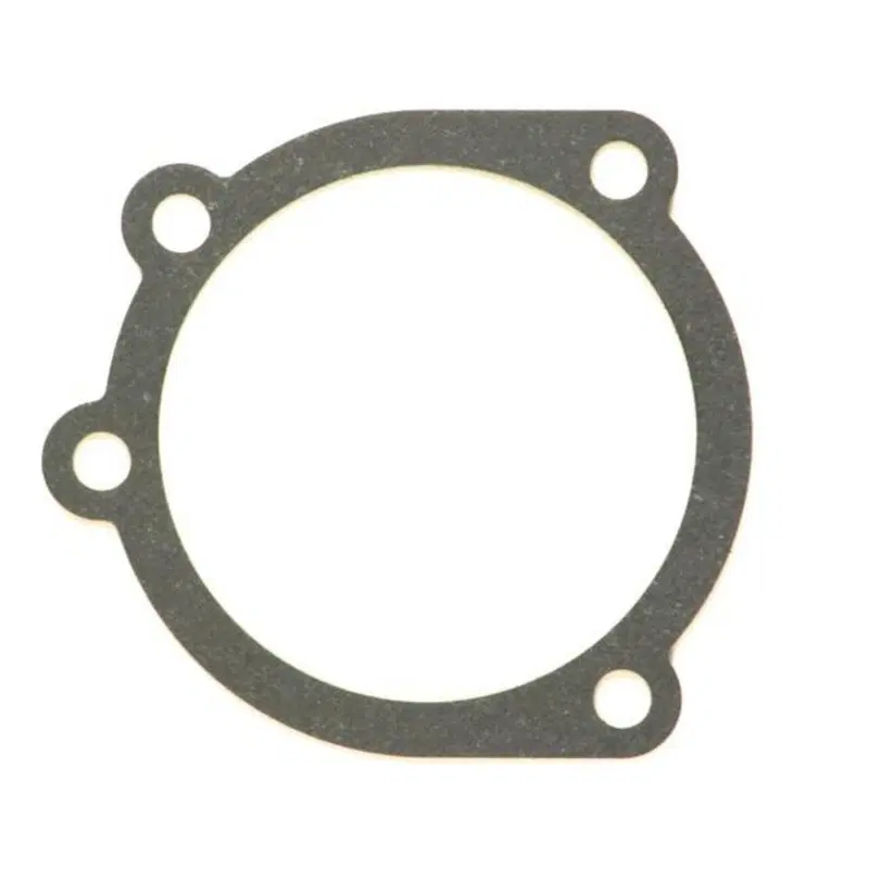 Guarnizione tra carburatore e scatola filtro aria 