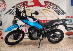 CFMOTO 450MT (2024 - 25) nuova