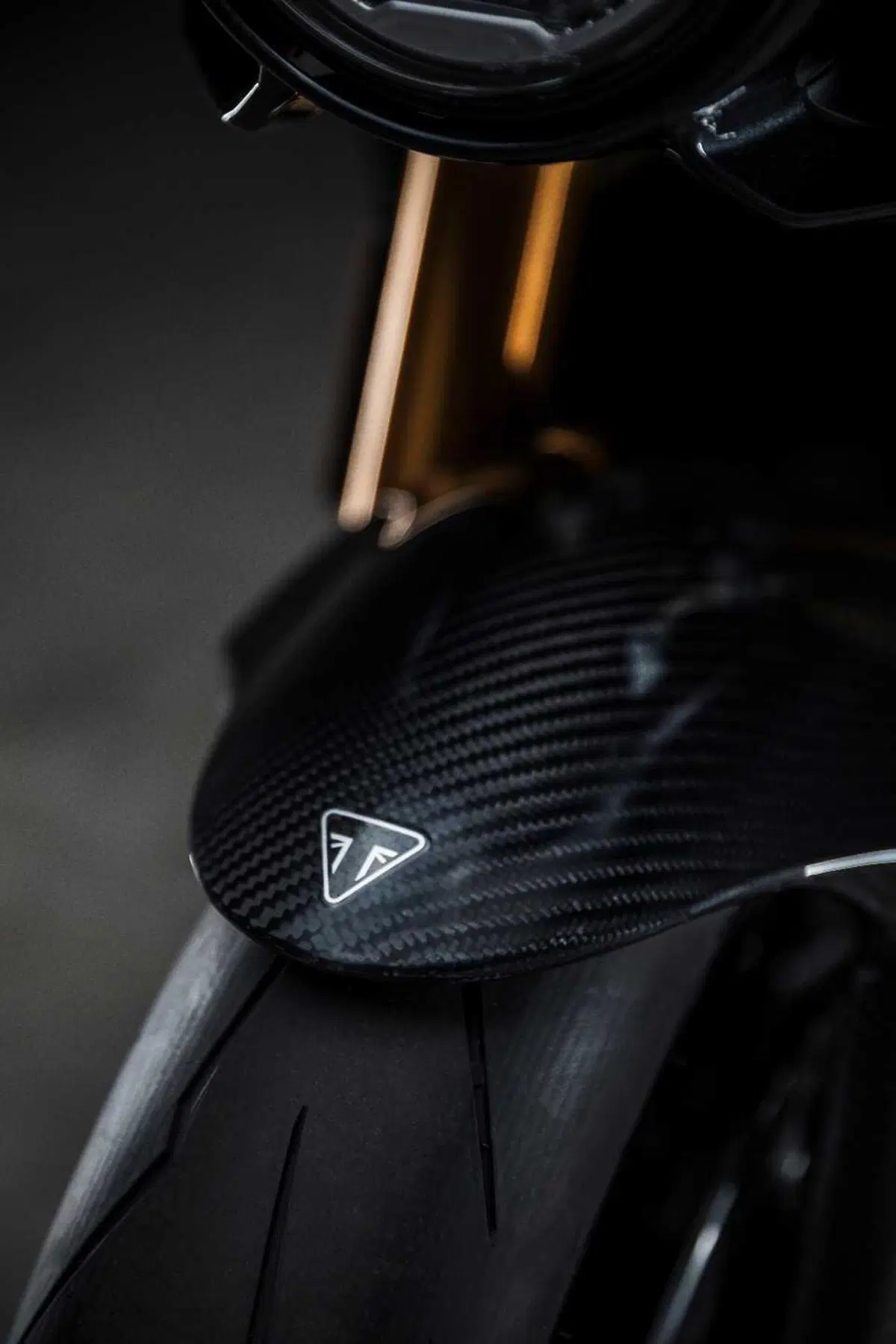 Triumph e Breitling di nuovo insieme, ecco la Speed Triple 1200 RR Breitling (21)