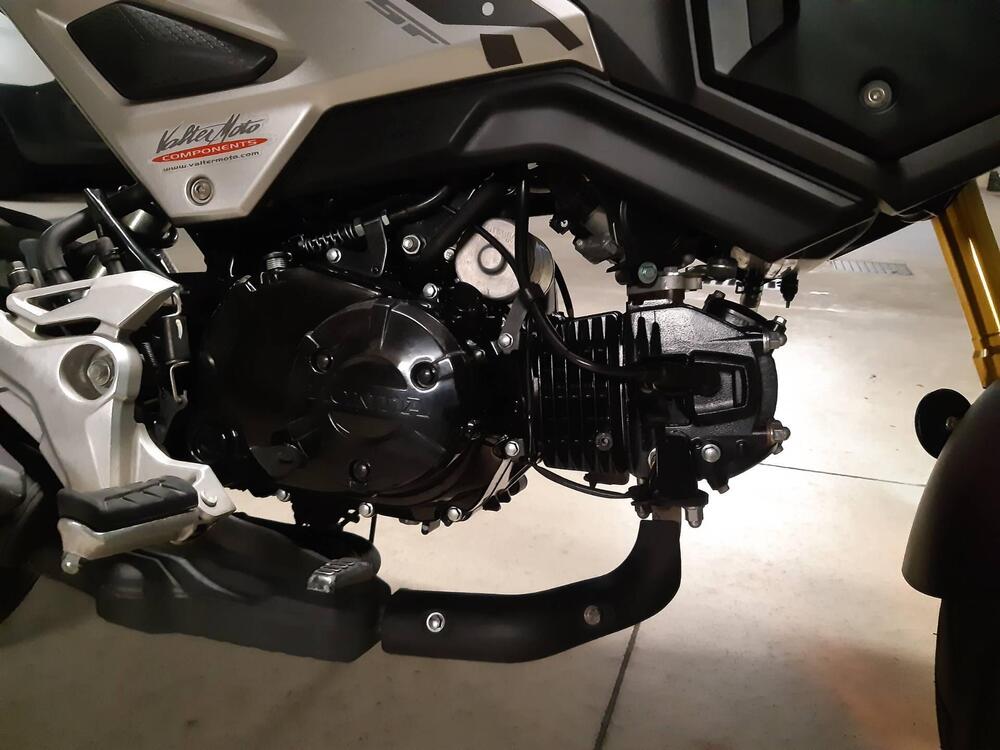 Honda MSX 125 (2018 - 20) (4)