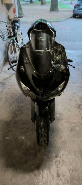 Kawasaki Ninja 1000 ZX-10R (2006 - 07) (3)