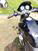 Honda Hornet 600 (2000 - 02) (6)