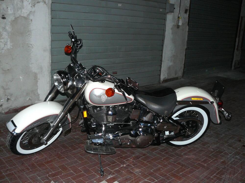 Harley-Davidson Softail Heritage Special (3)