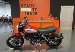 Ducati Scrambler 800 Icon (2023 - 24) usata