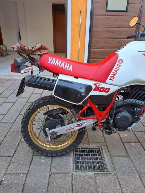 Yamaha XT 600 Z (1983 - 90) (3)