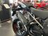 Ducati Multistrada V4 RS (2024) (6)