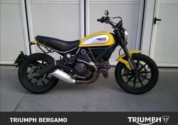 Ducati Scrambler 800 Icon (2015 - 16) usata