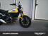 Ducati Scrambler 800 Icon (2015 - 16) (8)