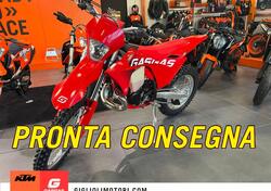 GASGAS EC 250 (2024) usata