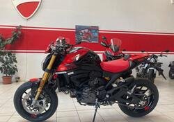 Ducati Monster 937 SP (2023 - 24) nuova