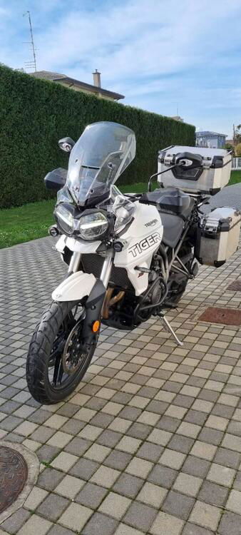 Triumph Tiger 800 XRt (2018 - 20) (4)