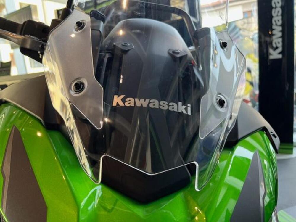 Kawasaki Versys 650 (2021 - 24) (5)