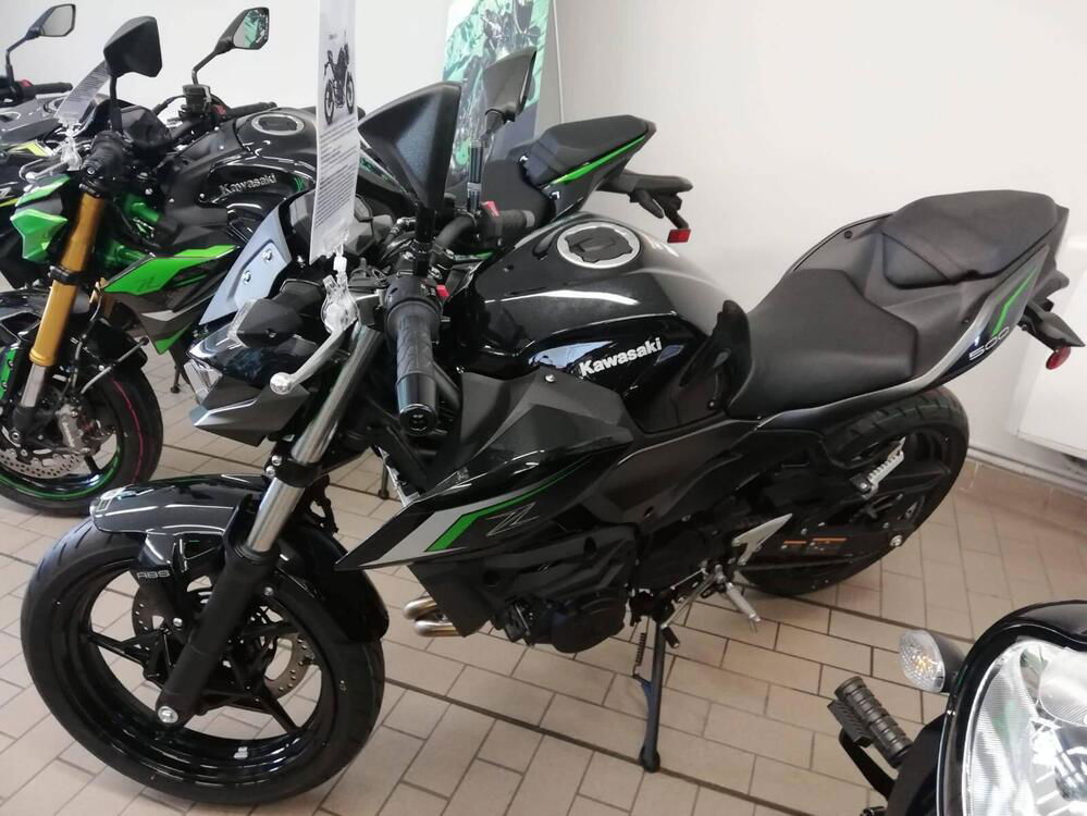 Kawasaki Z 500 (2024)