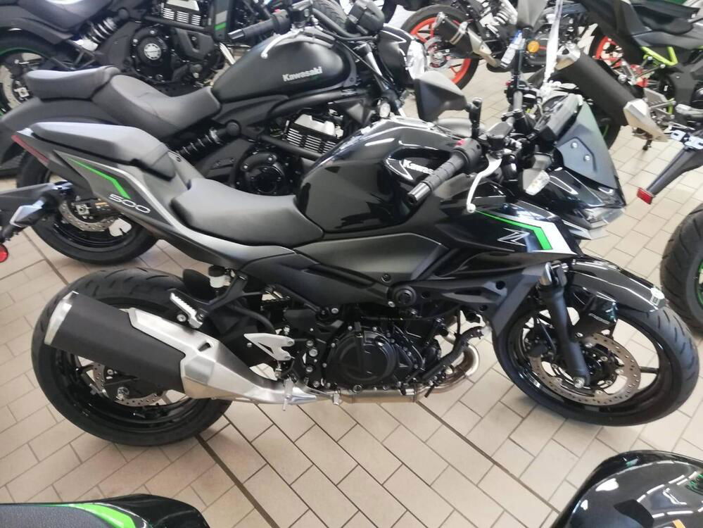 Kawasaki Z 500 (2024) (3)