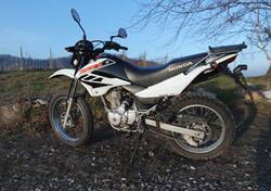 Honda XR 125 L (2003 - 05) usata