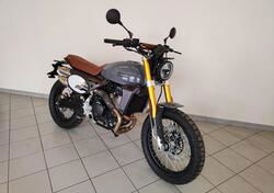 Fantic Motor Caballero 500 Scrambler Deluxe (2024) nuova