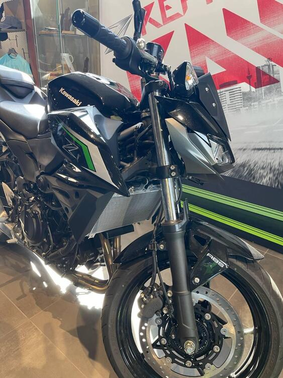 Kawasaki Z 500 (2024 - 25)