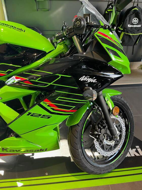 Kawasaki Ninja 125 (2021 - 24) (2)