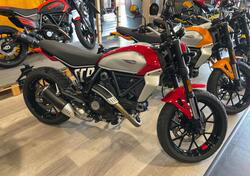 Ducati Scrambler 800 Icon (2023 - 24) usata