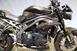 Triumph Speed Triple 1050 RS (2018 - 20) (14)