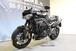 Triumph Speed Triple 1050 RS (2018 - 20) (15)