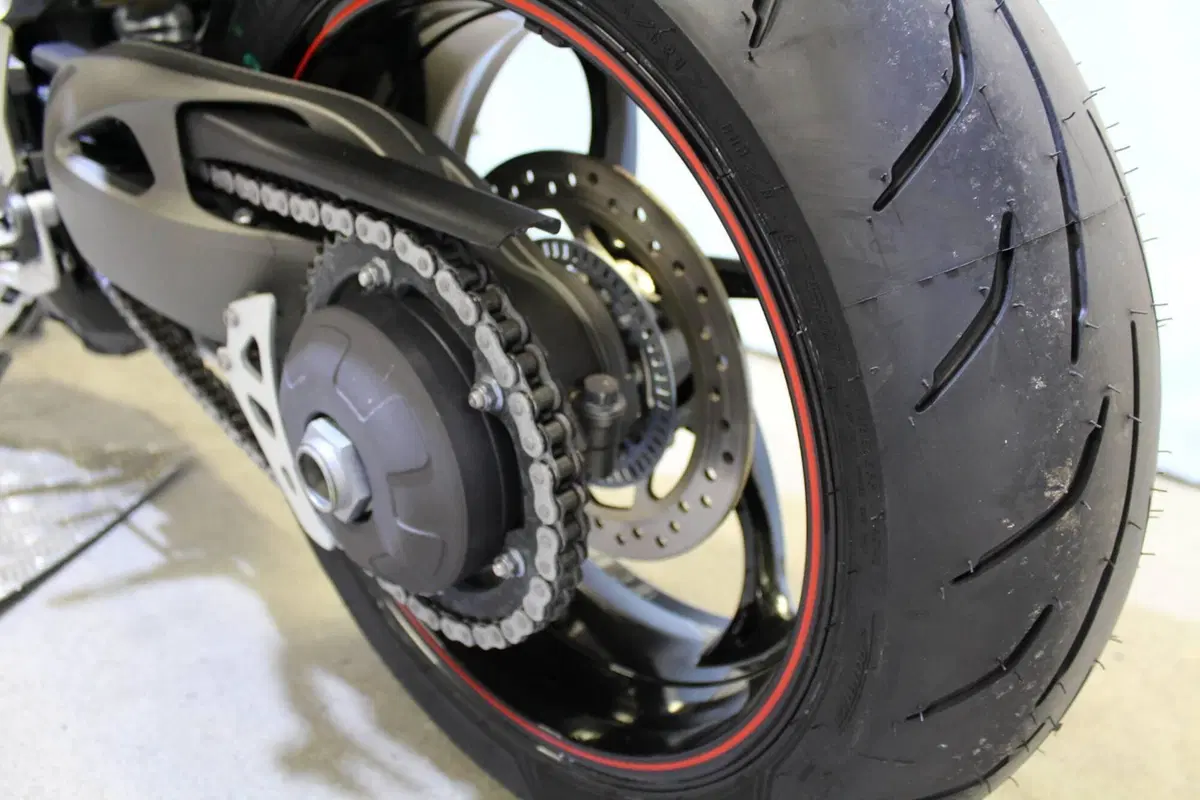 Triumph Speed Triple 1050 RS (2018 - 20) (17)