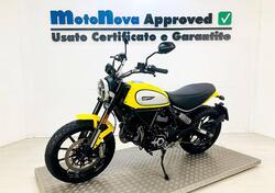 Ducati Scrambler 800 Icon (2023 - 24) usata