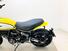 Ducati Scrambler 800 Icon (2023 - 24) (15)