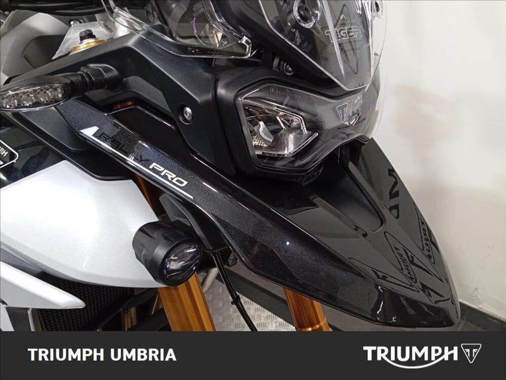 Triumph Tiger 900 GT Pro (2024) (2)