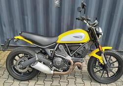 Ducati Scrambler 800 Icon (2017 - 2020) usata