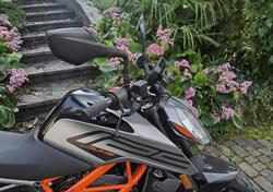 KTM 125 Duke (2021 - 23) usata