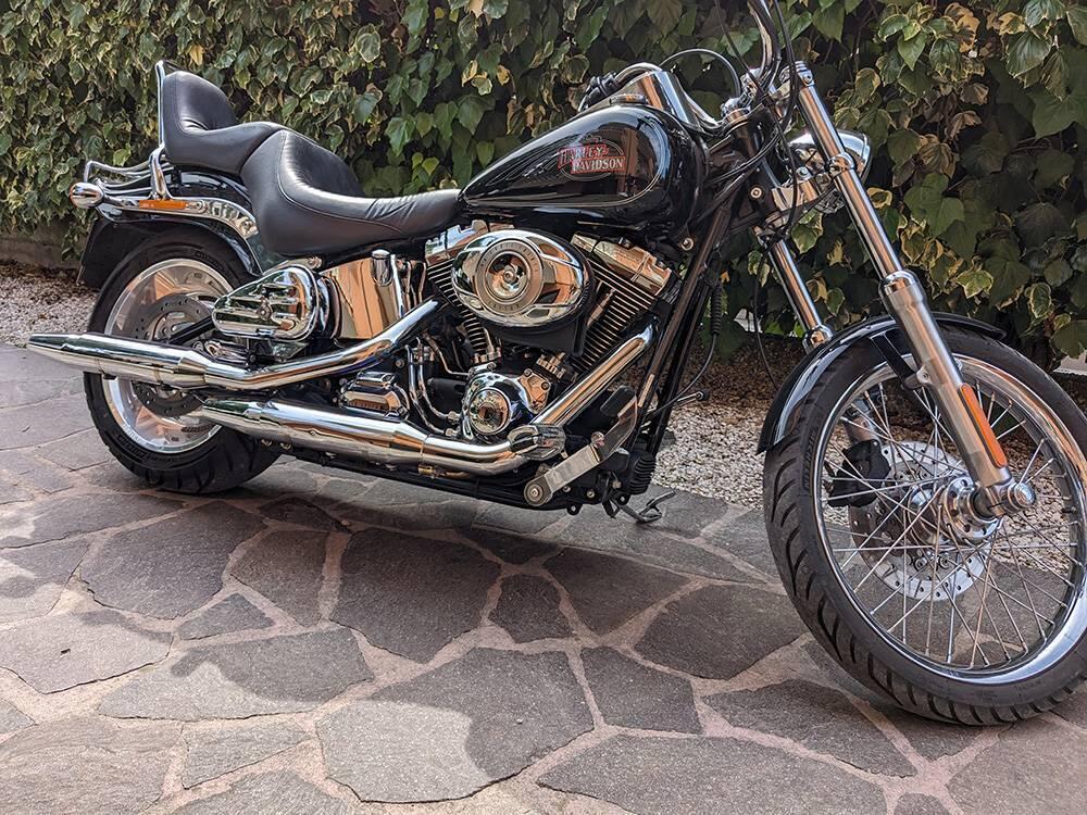 Harley-Davidson 1584 Custom (2008 - 09) - FXSTC (3)