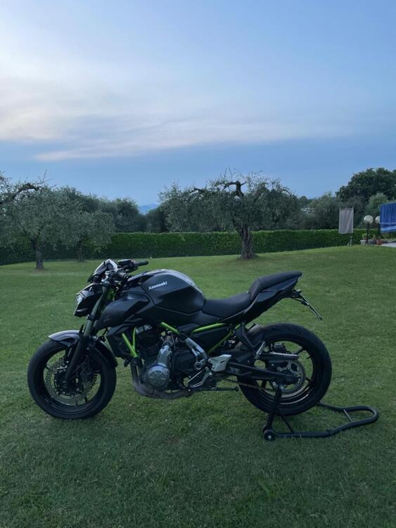 Kawasaki Z 650 (2017 - 19)