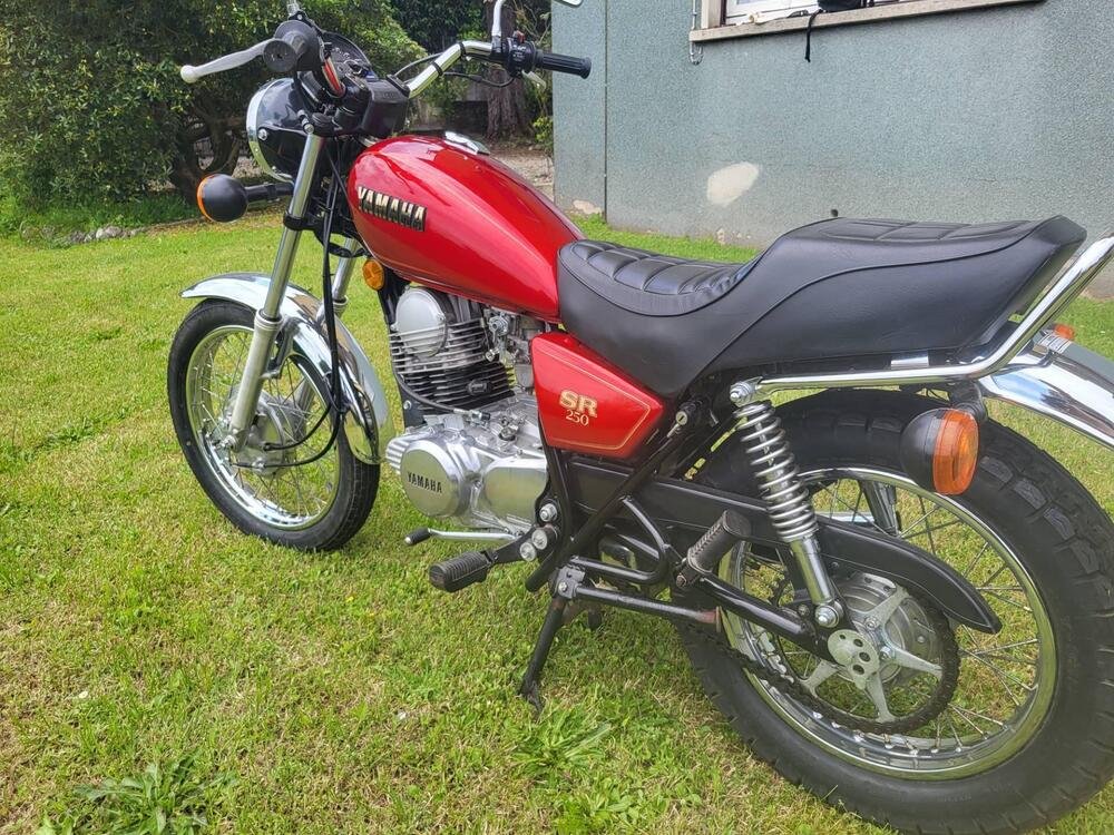 Yamaha SR 250 (1985 - 96) (5)