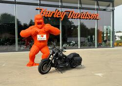 Harley-Davidson 1584 Fat Boy (2008 - 10) - FLSTF usata