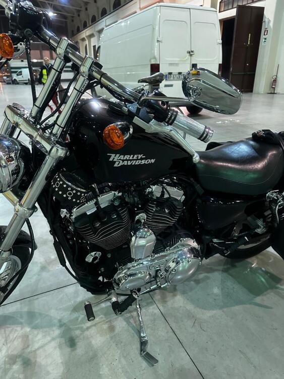 Harley-Davidson 1200 Custom (2007 - 13) - XL 1200C (5)