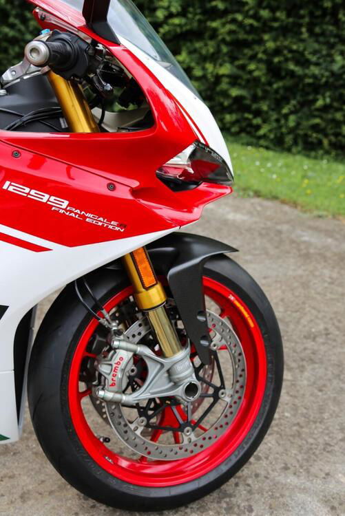 Ducati 1299 Panigale R Final Edition (2017 - 20) (5)