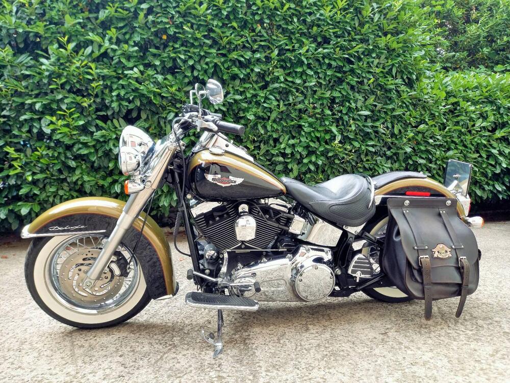 Harley-Davidson 1584 Deluxe (2007 - 08) - FLSTN (2)