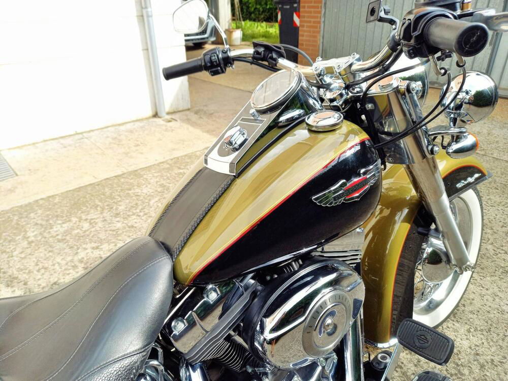 Harley-Davidson 1584 Deluxe (2007 - 08) - FLSTN (5)