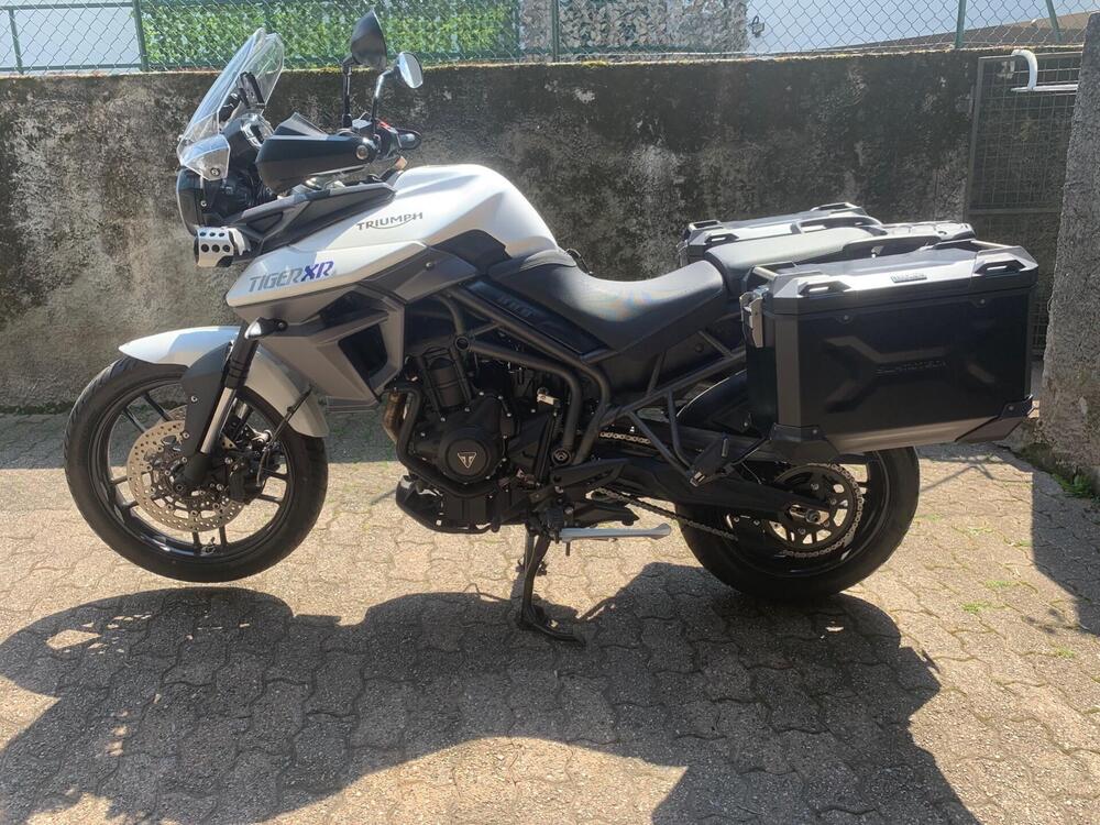 Triumph Tiger 800 XR (2015 - 17)