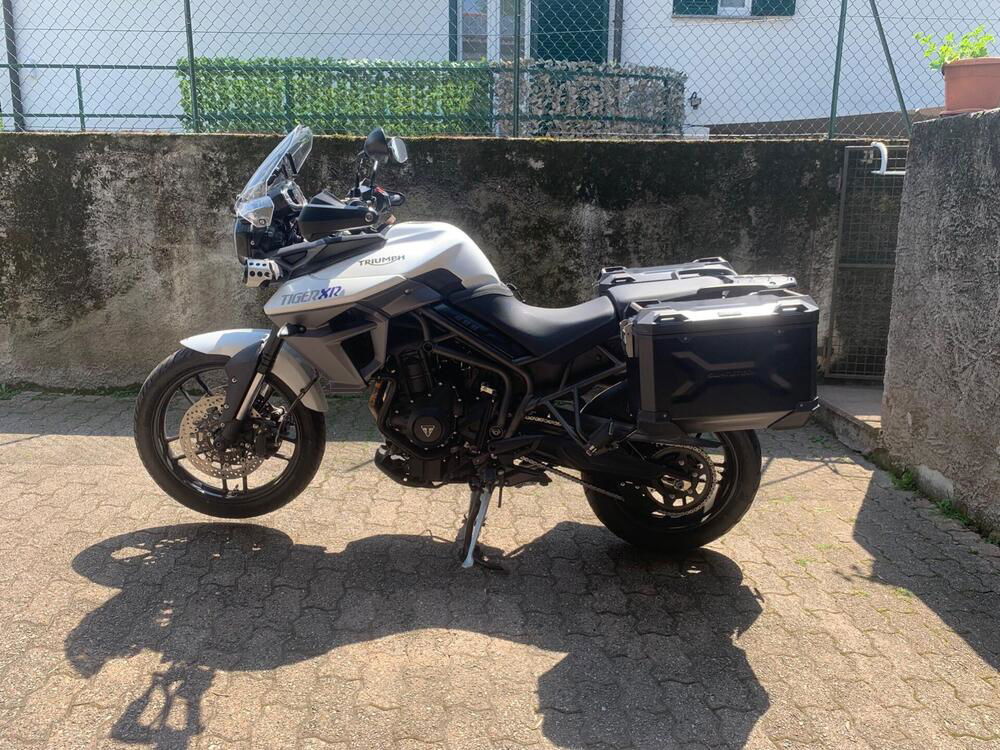 Triumph Tiger 800 XR (2015 - 17) (2)