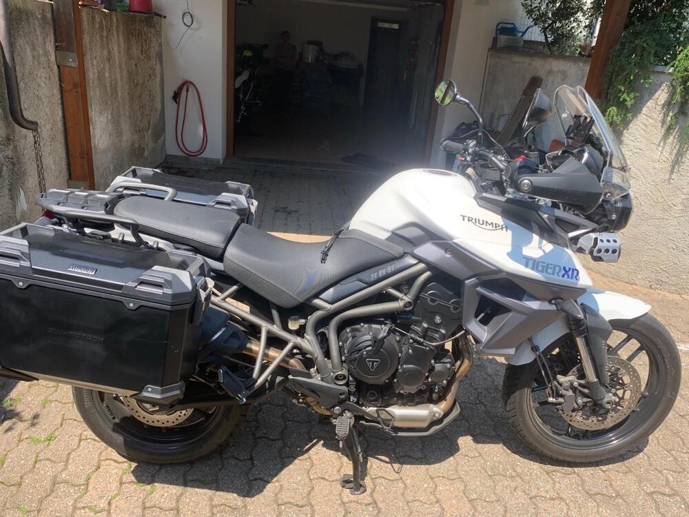 Triumph Tiger 800 XR (2015 - 17) (4)