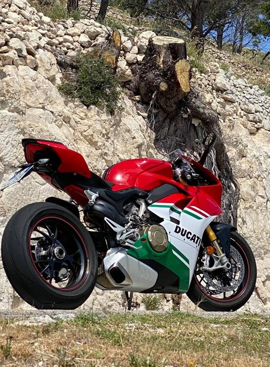 Ducati Panigale V4 S 1100 (2018 - 19)