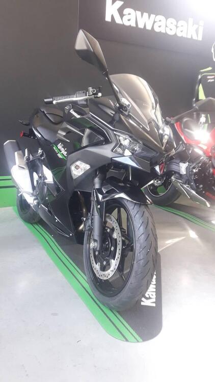 Kawasaki Ninja 500 (2024)