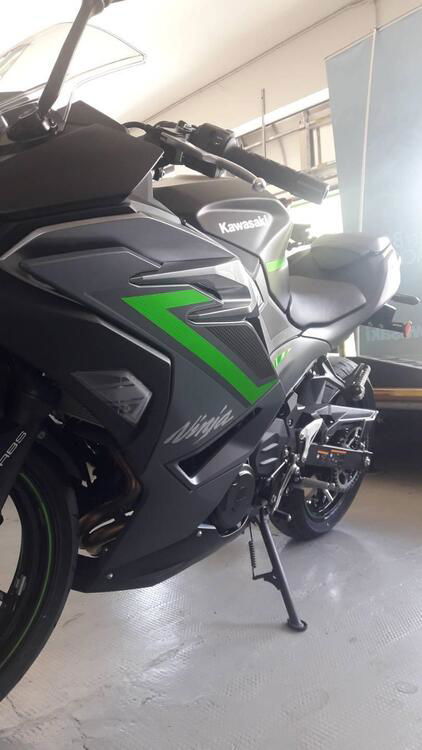 Kawasaki Ninja 500 SE (2024) (5)