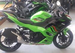 Kawasaki Ninja 500 SE (2024) nuova