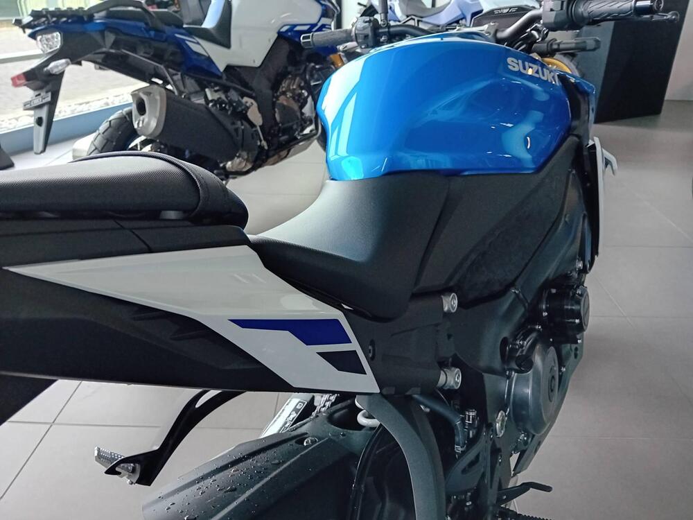 Suzuki GSX-S1000 (2021 - 24) (3)